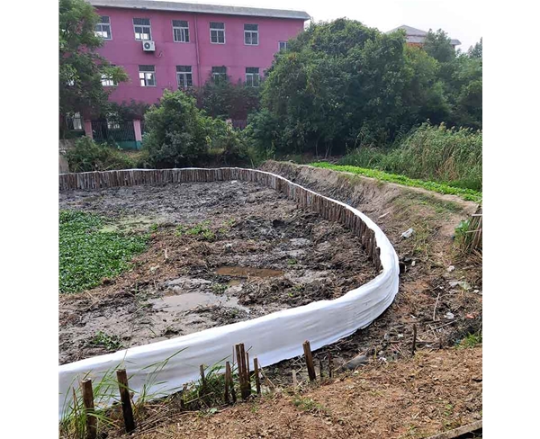 芜湖市湾沚区水系连通及农村水系综合整治试点县项目
