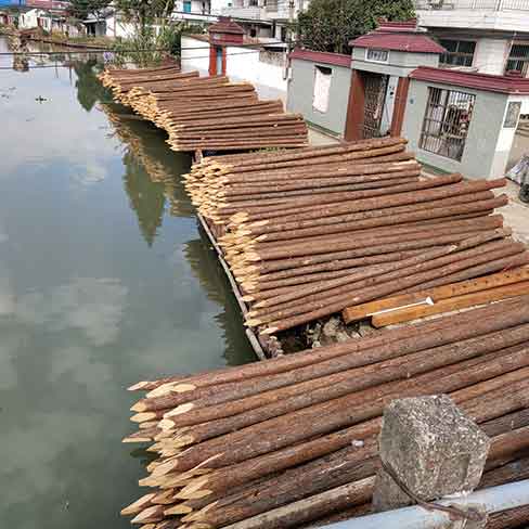 驳岸木桩