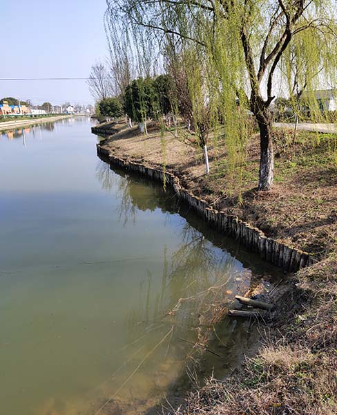 河道木桩