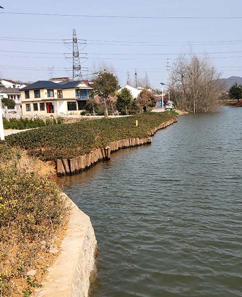 河道木桩
