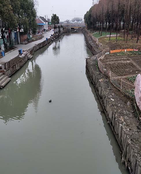 河道木桩