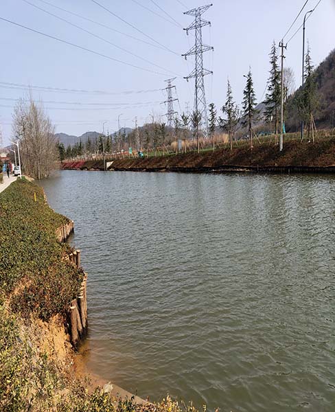 河道木桩