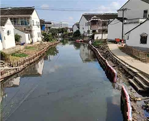 河道木桩