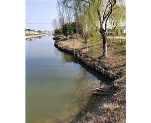 河道木桩