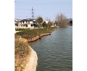 河道木桩