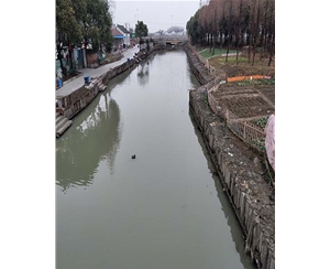 河道木桩