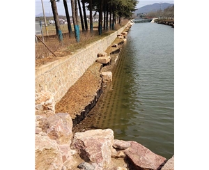 河道木桩