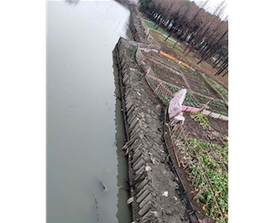 河道木桩