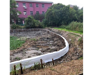 芜湖市湾沚区水系连通及农村水系综合整治试点县项目